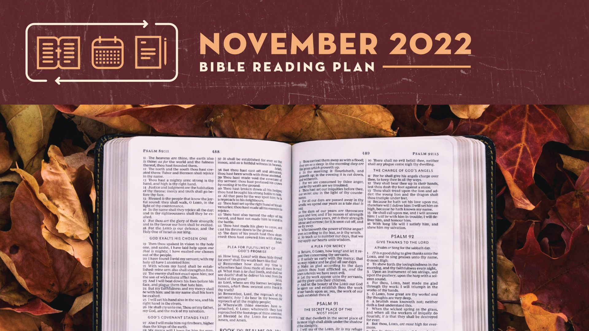 November Bible Reading Plan
