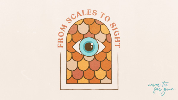 From Scales to Sight